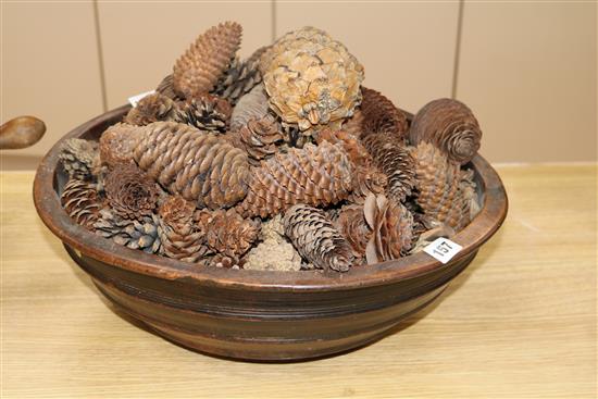 A 19th century turned sycamore bowl, 44cm